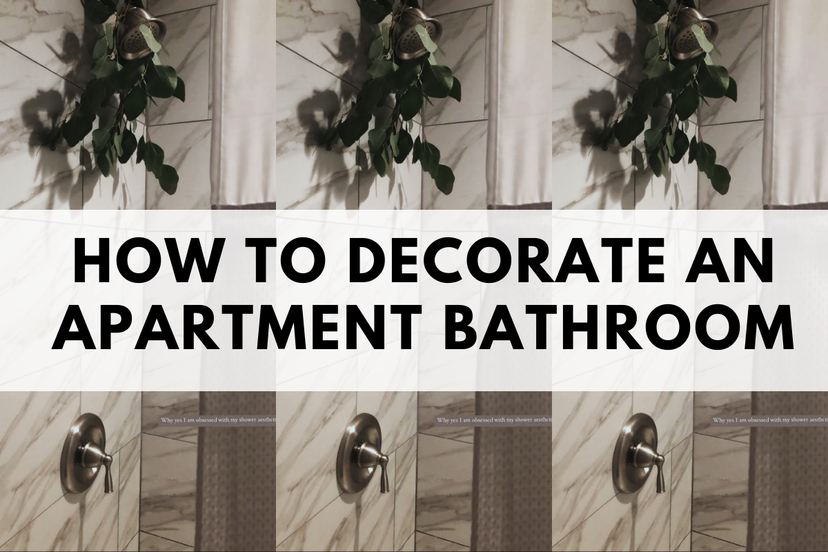 How to Decorate an Apartment Bathroom